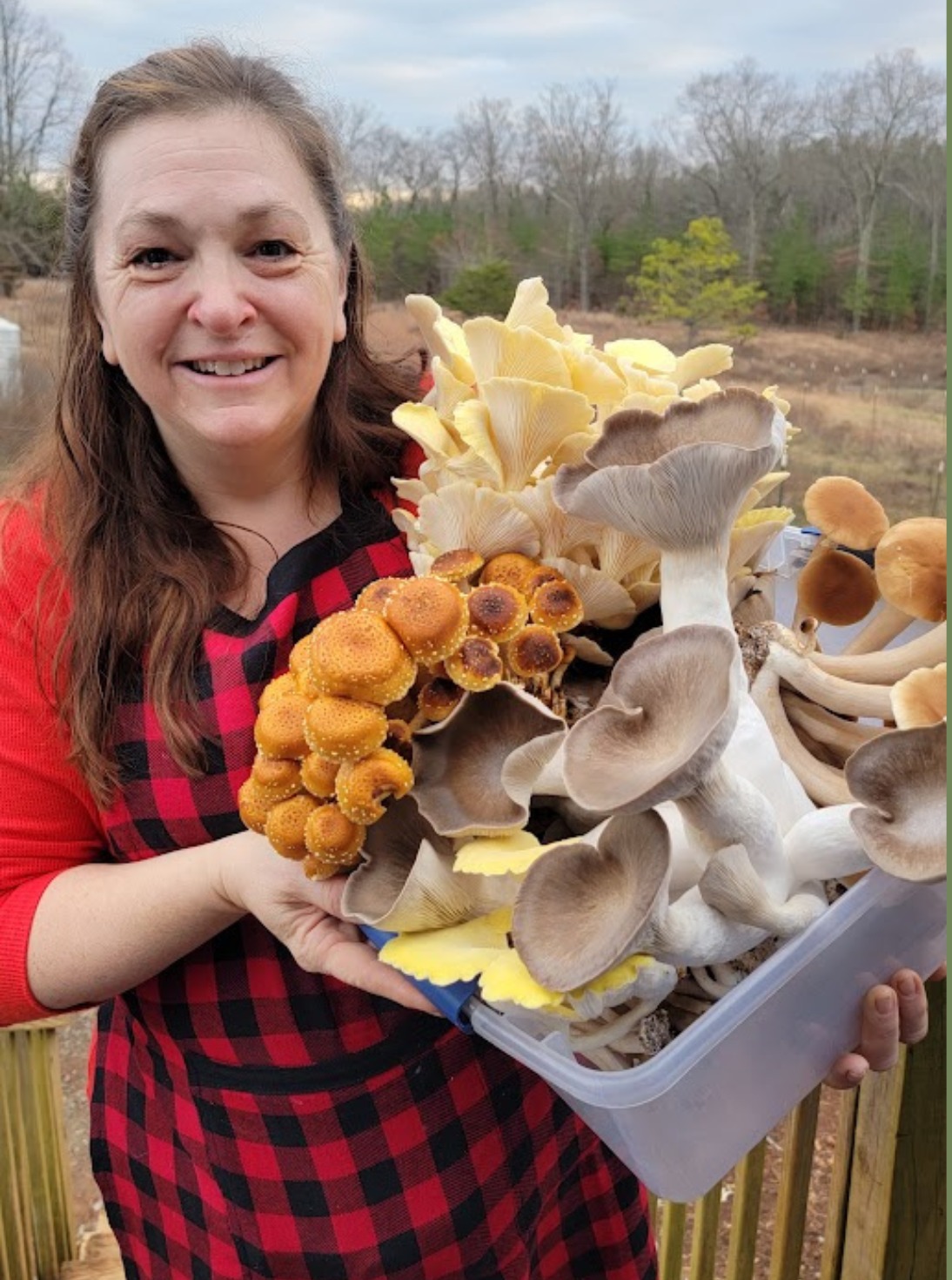 Mission Mushroom farmer holding a fresh harvest of oyster, chestnut and king trumpet mushrooms